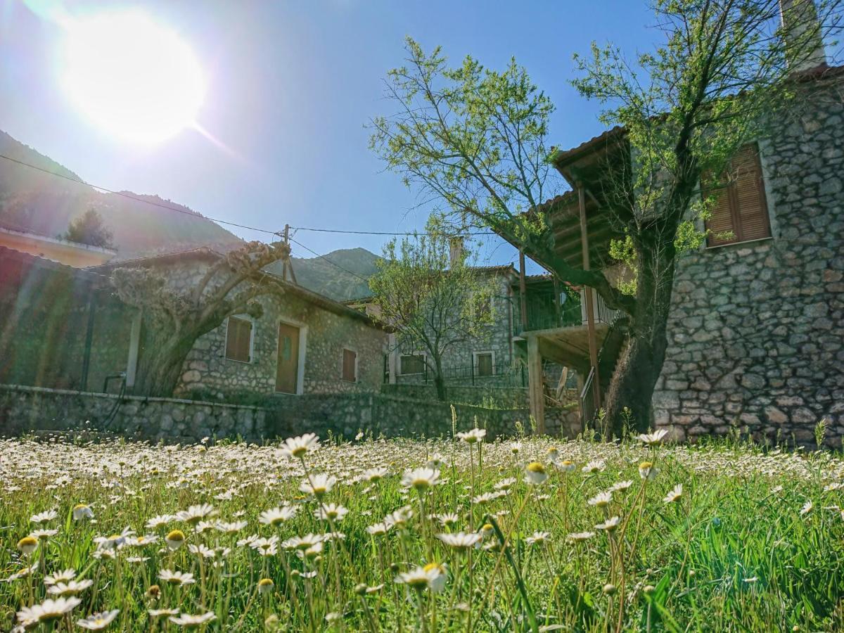 1935 Home Lílaia エクステリア 写真